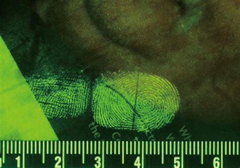 what are forensic quality photographs